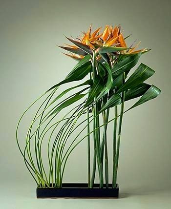 專業(yè)插花培訓(xùn)學(xué)校