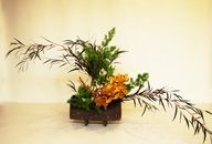 培訓(xùn)插花師學(xué)費多少
