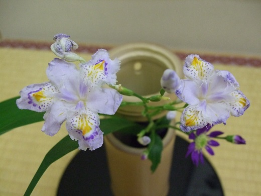中國(guó)傳統(tǒng)插花藝術(shù)-茶幾茶道插花花藝